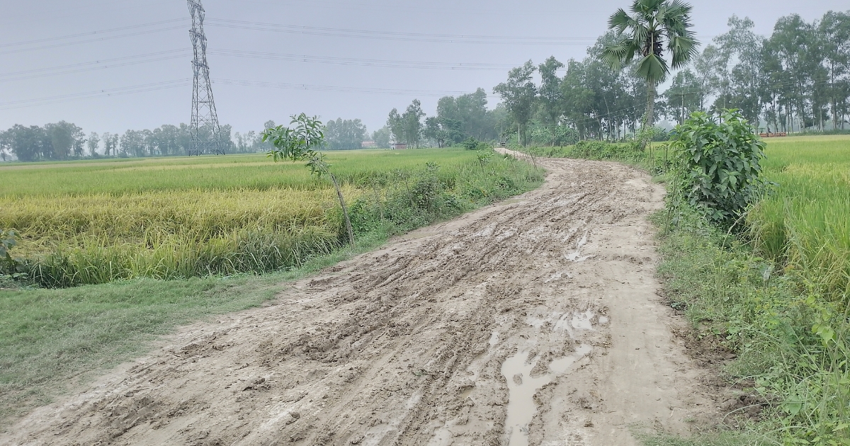 ৫৪ বছরেও পাকা হলো না সিদ্দিপুর-শিবপুর ১ কিলোমিটার সড়ক
