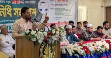 ‘আওয়ামী লীগকে জনগণ গণহত্যাকারী দল হিসেবে নিষিদ্ধ করেছে’: ড. শফিকুল