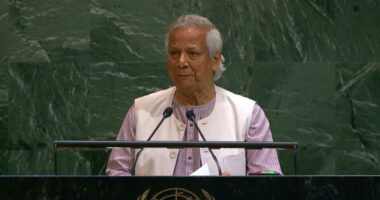 বাংলাদেশ রোহিঙ্গা সংকটের ভুক্তভোগী : প্রধান উপদেষ্টা