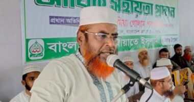 জামায়াতের লোগো পরিবর্তন করা হবে : মিয়া গোলাম পরওয়ার