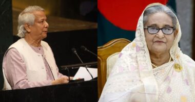 ‘ভারত এখনও আশাবাদী, শেখ হাসিনা বিজয়ীর বেশে দেশে ফিরবেন’: প্রধান উপদেষ্টা