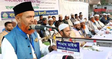 জামায়াতের কর্মীদের ত্যাগ দেশের জমিনকে উর্বর করেছে : মাও. আব্দুল হালিম