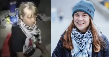 সুমুদ ফ্লোটিলার নৌযান আটকিয়ে গ্রেটা থুনবার্গকে নিয়ে গেল ইসরাইলি সেনারা