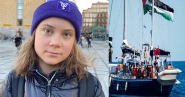 আমাকে অপহরণ করা হয়েছে এবং ইচ্ছার বিরুদ্ধে ইসরাইলি বাহিনী আমাকে আটকে রেখেছে : থুনবার্গ