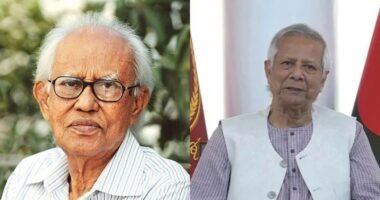 ভাষা সৈনিক আহমদ রফিকের মৃত‍্যুতে প্রধান উপদেষ্টার গভীর শোক