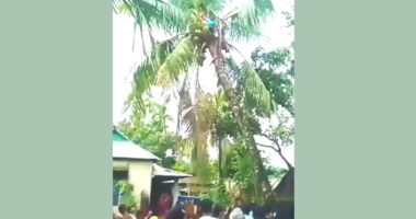 নেত্রকোনায় নারিকেল গাছে উঠে বিদ্যুৎস্পৃষ্টে কিশোরের মৃত্যু