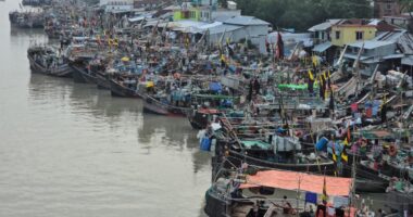 মা ইলিশ রক্ষায় সারাদেশে ২২ দিনের নিষেধাজ্ঞা