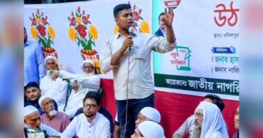 মার্কা নয়, যোগ্যতা দেখে নির্বাচিত করবেন : হাসনাত আব্দুল্লাহ