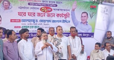 দেশকে বাঁচাতে হলে বিএনপিকে যেকোনো মূল্যে ক্ষমতায় আনতেই হবে,বিএনপির বিকল্প নেই : জালাল উদ্দিন