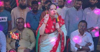 দেশে নির্বাচন ছাড়া শান্তি নেই ,আল্লাহর ওয়াস্তে নির্বাচন দিন, জবাবদিহি সরকার আনুন : রুমিন