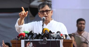 সংবিধান তো কচু পাতার পানি নয় যে বলে দিলেই পরিবর্তন হয়ে যাবে : সালাহউদ্দিন