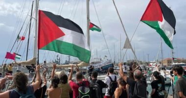 ফ্লোটিলা থেকে আটক ১৩৭ জনকে তুরস্কে পাঠাচ্ছে ইসরায়েল