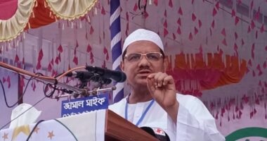 যারা দ্রুত নির্বাচন চায়, তারা ভারতীয় সুরে কথা বলছে: রেজাউল করিম