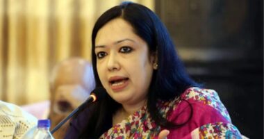 ‘জরিপ কখনো নির্বাচনে পার্থক্য গড়ে না,জরিপে জামায়াতের ভোট বাড়লেও নির্বাচনে জয়ী হবে বিএনপি : রুমিন ফারহানা