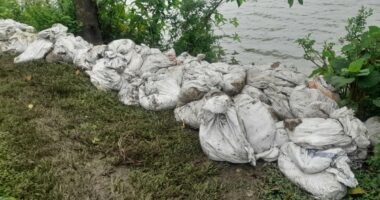 নাটোরের সিংড়ায় সরকারি খাস দিঘি দখল ও পরিবেশ দূষণ : স্থানীয়রা ভোগান্তিতে