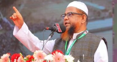 সংবিধানের দোহাই দিয়ে সংস্কার ব্যাহত করা যাবে না : আতাউর রহমান