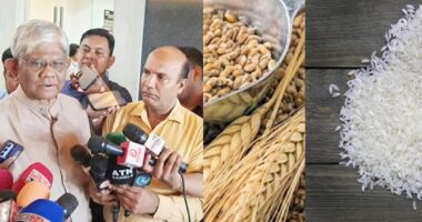 যুক্তরাষ্ট্র থেকে গম ও ভারত থেকে চাল কিনবে সরকার : অর্থ উপদেষ্টার