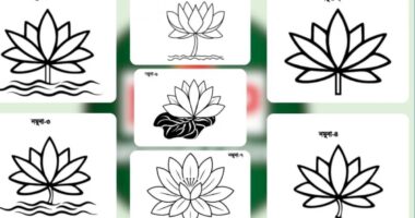 নির্বাচন কমিশনকে ‘শাপলা’র ৭ ধরনের নমুনা পাঠালো এনসিপি