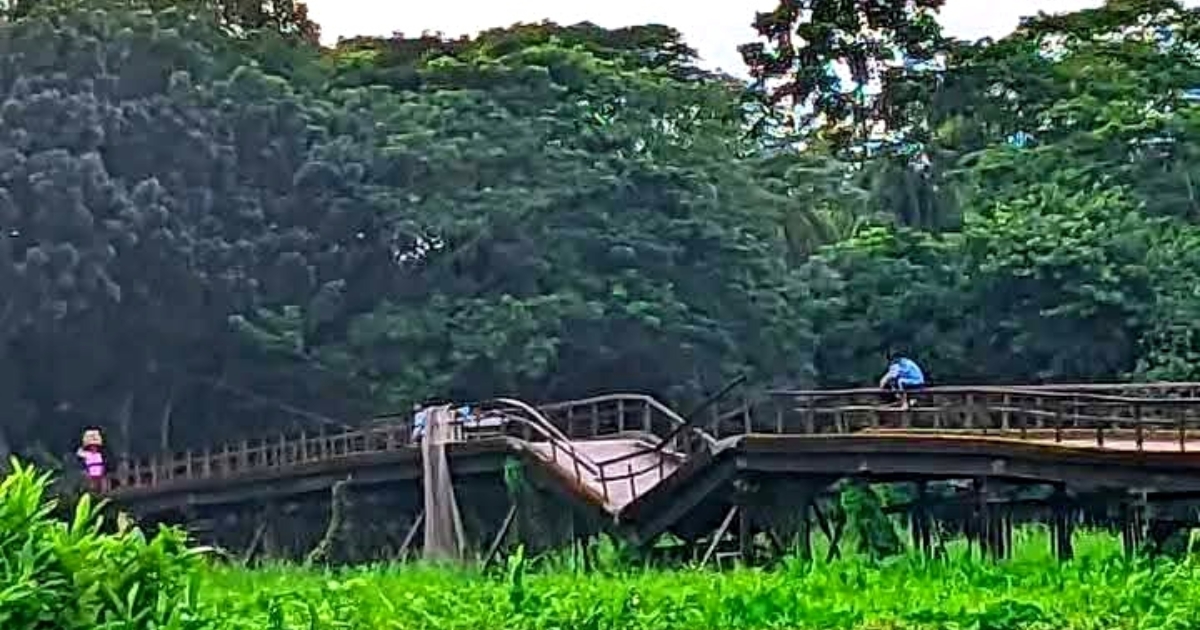 গলাচিপায় সংযোগ সেতুর বেহাল দশা, দুর্ভোগে হাজারো মানুষ