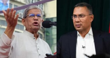 সাক্ষাৎকারই প্রমাণ, জাতিকে নেতৃত্ব দিতে সক্ষম তারেক রহমান : মির্জা ফখরুল