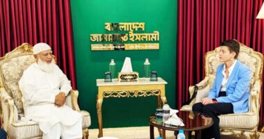 সুষ্ঠু নির্বাচন নিশ্চিতে জাতিসংঘের সহযোগিতা চেয়েছে জামায়াত