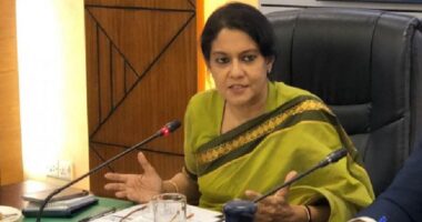 ‘আমি কোনো এক্সিট খুঁজছি না, বাকিটা জীবনও বাংলাদেশে কাটিয়ে যাব’: উপদেষ্টা রিজওয়ানা