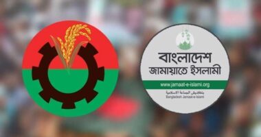 জামায়াতের একক প্রার্থী, বিএনপির লেজে বিএনপির কামড়