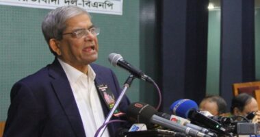 ‘আমরা তো তোমাদের মার্কাতে বাধা দিইনি, তাহলে বিএনপির ধানের শীষ নিয়ে টানাটানি কেন!’: মির্জা ফখরুল