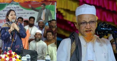 রুমিন ফারহানার আসনে ধানের শীষের প্রার্থী হচ্ছেন জুনায়েদ আল হাবীব !