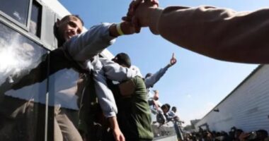 সব ফিলিস্তিনি বন্দীদের বাসে তোলা হয়েছে, স্বাগত জানাতে জড়ো হয়েছেন গাজাবাসী