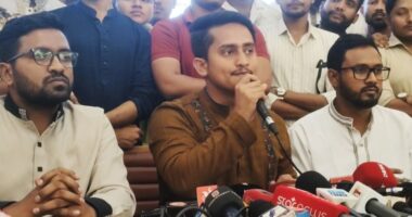 এনসিপি একক অথবা জোটে নির্বাচনে যেতে পারে : সারজিস আলম