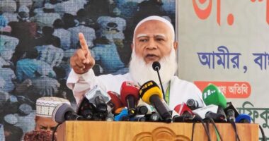 জামায়াত নির্বাচনে জয়ী হলে জনগণের মালিক নয়, সেবক হবে : ডা. শফিকুর