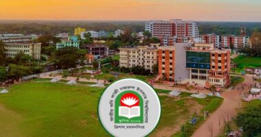 টাইমস হায়ার এডুকেশন র‍্যাঙ্কিংয়ে নেই নজরুল বিশ্ববিদ্যালয়ের নাম