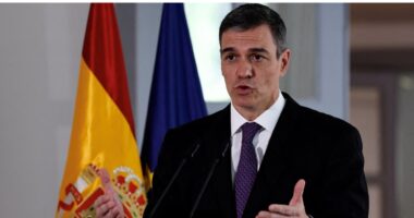 গাজায় গণহত্যার জন্য যারা দায়ী, তাদের অবশ্যই জবাবদিহি করতে হবে : স্পেনের প্রধানমন্ত্রী