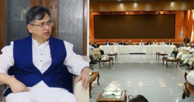 ঐকমত্য কমিশনের সংলাপে অংশ নেবে বিএনপি, নেতৃত্বে সালাহউদ্দিন আহমদ