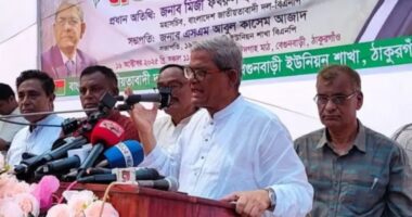 পিআর-টিআর বাদ দেন, নির্বাচনে আসেন : মির্জা ফখরুল