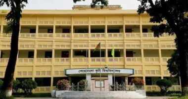 প্রোগ্রামে না যাওয়ায় শিক্ষার্থীকে হলছাড়া করার অভিযোগ শেকৃবি ছাত্রদল নেতার বিরুদ্ধে