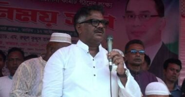 ফেব্রুয়ারীতে জাতীয় নির্বাচন কেউ ঠেকিয়ে রাখতে পারবে না : দুলু