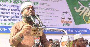 ব্যালট বিপ্লবের মাধ্যমে জামায়াতকে ক্ষমতায় আনবে মানুষ : দেলাওয়ার