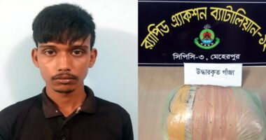 গাংনীতে র‍্যাবের অভিযানে ৪ কেজি গাঁজাসহ যুবক আটক