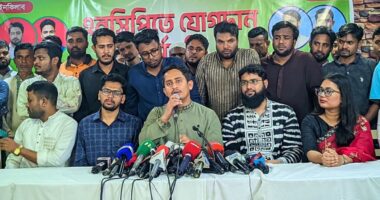 'কোনো রাজনৈতিক দল নয়, ছাত্র-জনতা শেখ হাসিনার পতন ঘটিয়েছে' : সারজিস আলম