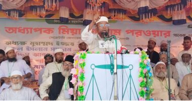 সারা দেশের মানুষ এখন দাঁড়িপাল্লায় ভোট দিতে প্রস্তুত : গোলাম পরওয়ার