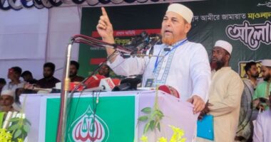 এই দেশ কারো বাপের না, কোনো পরিবারেরও না : রফিকুল ইসলাম