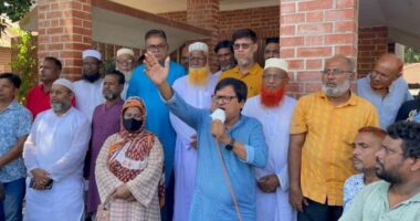 জুলাই-আগস্টের পটভূমি তৈরি করেছে ছাত্রদল : বাবুল