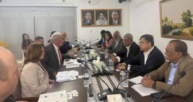 বিএনপির সঙ্গে আইআরআই প্রতিনিধি দলের বৈঠক