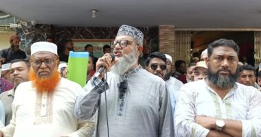 পিআর পদ্ধতিতে নির্বাচন হলে কিছুটা অসামঞ্জস্য দেখা দিতে পারে : শামীম সাঈদী