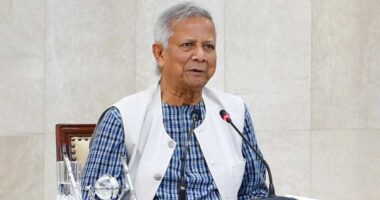 শিক্ষকদের দাবি ন্যায্য ও বাস্তবসম্মত : প্রধান উপদেষ্টা