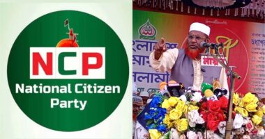 গোলাম পরওয়ারের বক্তব্য ‘ঔদ্ধত্যপূর্ণ ও অসদাচরণ’ : এনসিপি