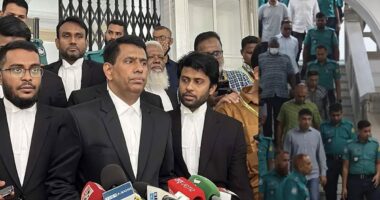 সেনা কর্মকর্তারা আত্মসমর্পণ করেননি, পুলিশ গ্রেপ্তার করে ট্রাইব্যুনালে এনেছে : চিফ প্রসিকিউটর