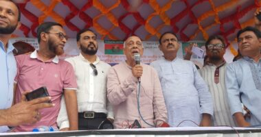 আমরা গণভোট চাই না, জনগণের ভোট চাই : বিএনপি চেয়ারপার্সনের উপদেষ্টা